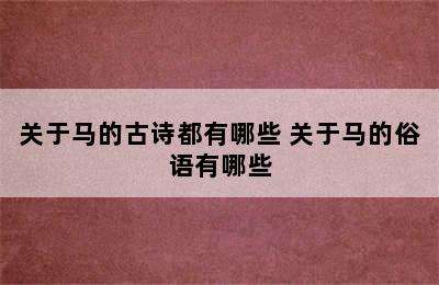 关于马的古诗都有哪些 关于马的俗语有哪些